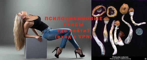 ECSTASY Аркадак