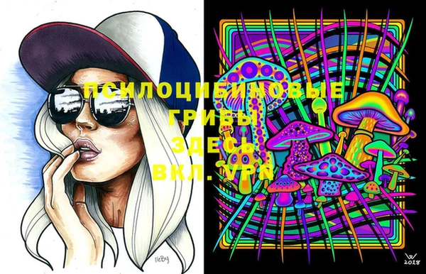 ECSTASY Аркадак